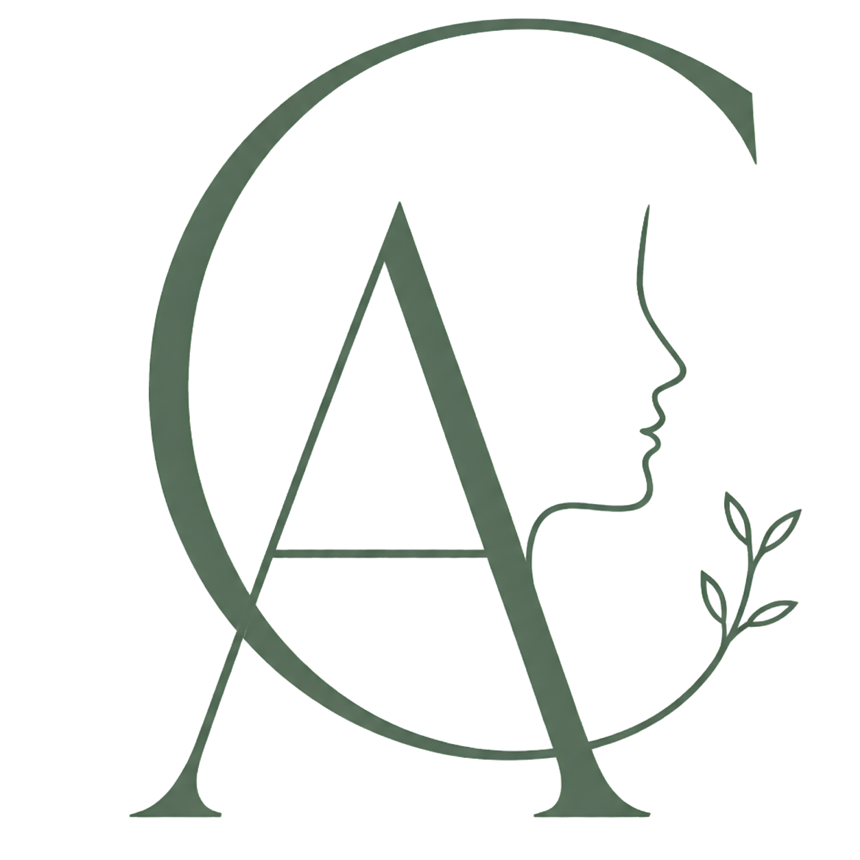 Logo Ana Flávia Chiapetti
